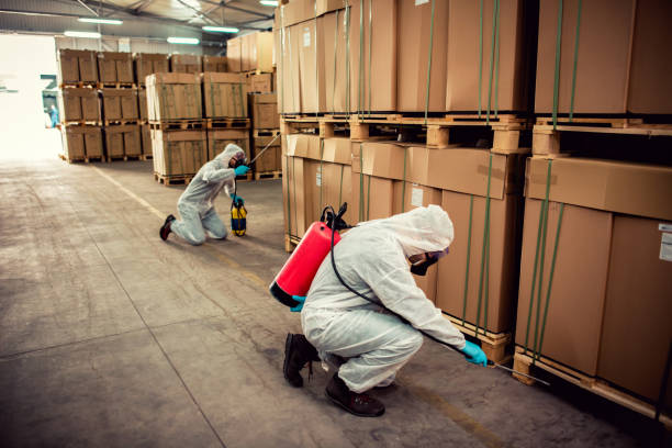 Best Pest Inspection Near Me  in Saco, ME