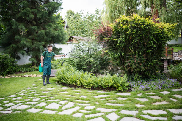 Best Wasp Removal Services  in Saco, ME