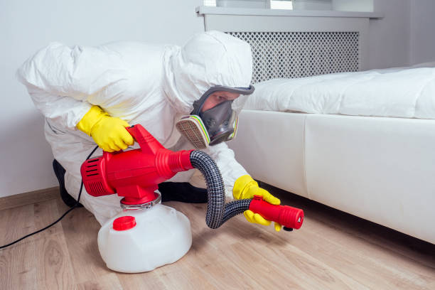 Best Rat Extermination Near Me  in Saco, ME