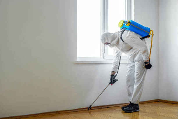 Best Commercial Pest Control Services  in Saco, ME