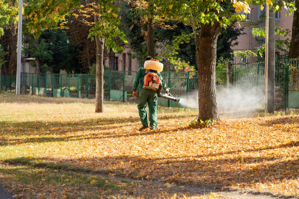 Wasp Removal Services in Saco, ME